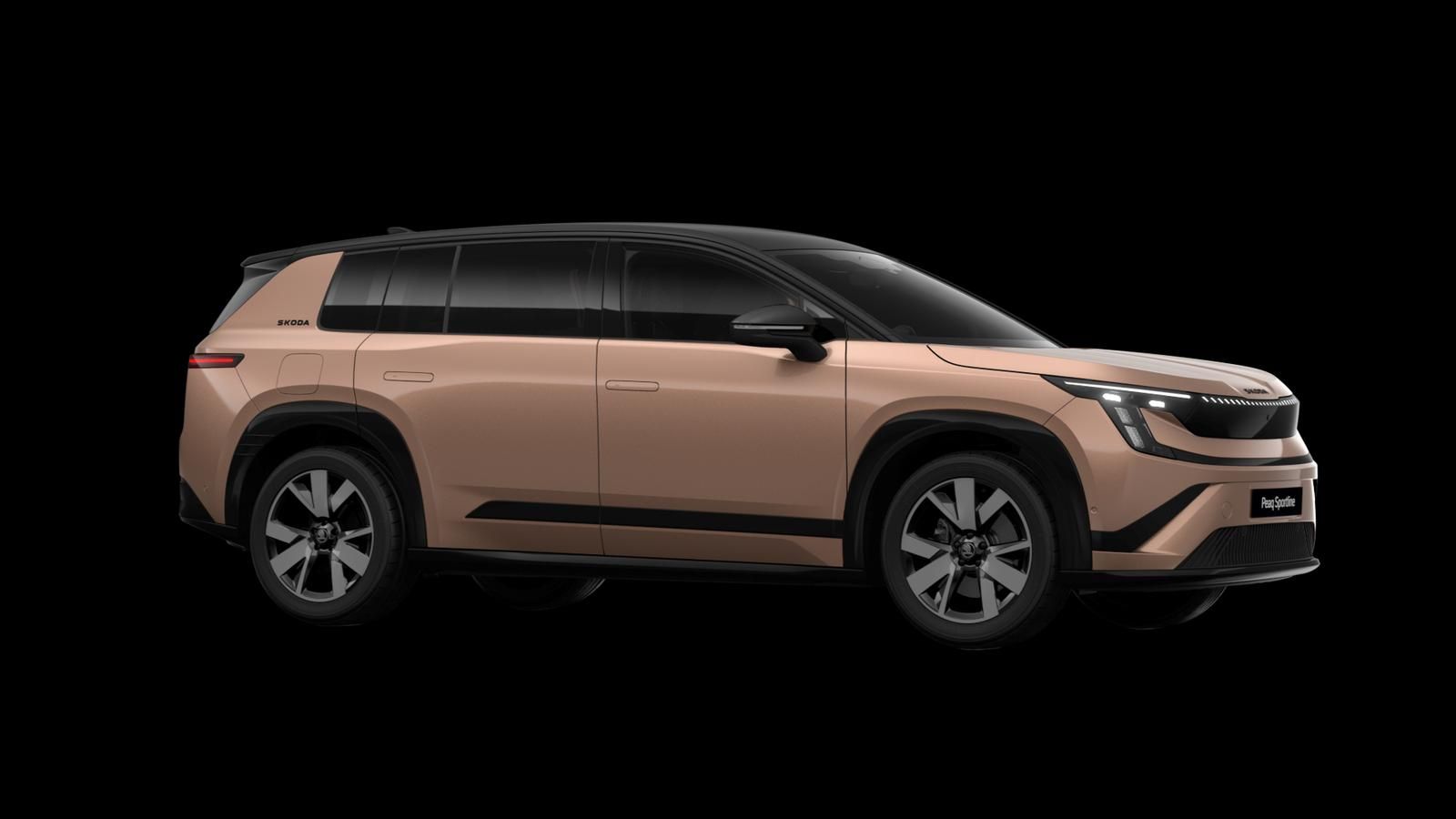 Skoda Andere - Bild 8