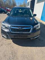 Subaru Forester 4x4 Exclusive TÜV Neu - gebrauchte Subaru Forester aus dem Jahr 2016