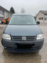 Volkswagen Caddy Life 1.6 2009 - Volkswagen Caddy mit Benzin-Antrieb: Kombi, 1.6