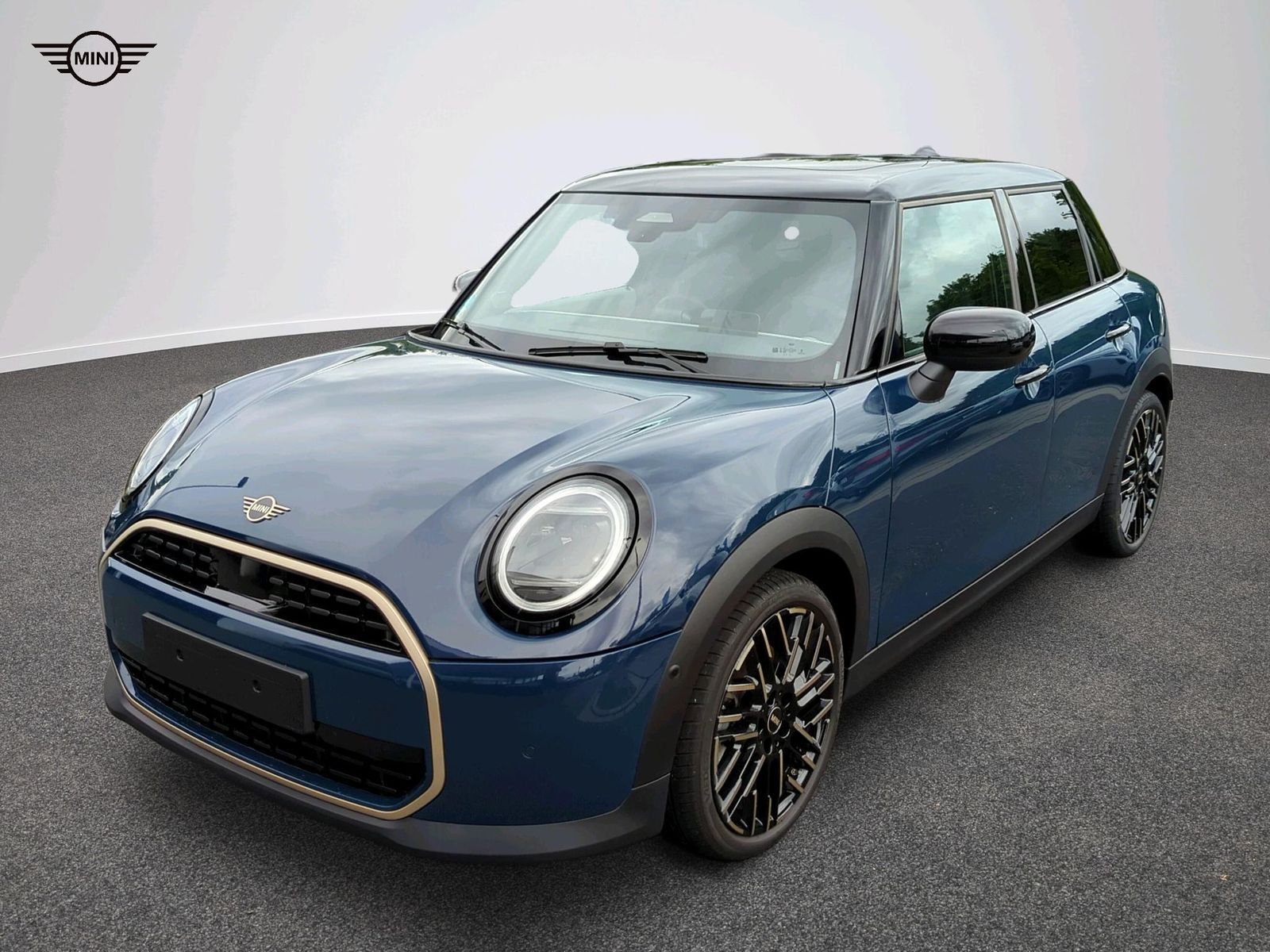 MINI Favoured Trim