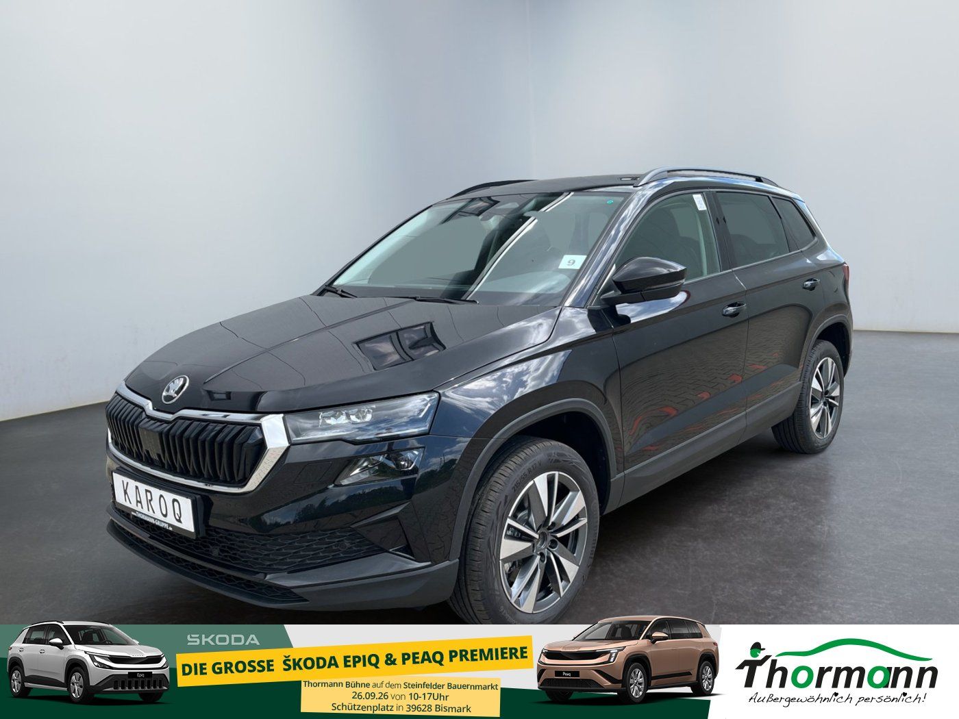 Skoda Karoq Balance 2.0 TDI DSG Matrix-LED Rückfahrkam