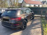 Skoda Kodiaq 1.4 TSI 92kW Active | braun-metallic - Skoda Kodiaq: Active
