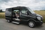 Mercedes-Benz 319 cdi VIP 8+1 Sprinter, Volleder VIP