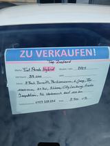 Fiat Panda 1.0 GSE Hybrid - - gebrauchte Fiat Panda aus dem Jahr 2021
