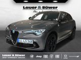 Alfa Romeo Stelvio Quadrifoglio 2,9l V6 510PS Q4 SPARCO