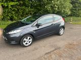 Ford Fiesta 1,25 44kW Ambiente Ambiente - Ford Fiesta aus 2009: Ambiente