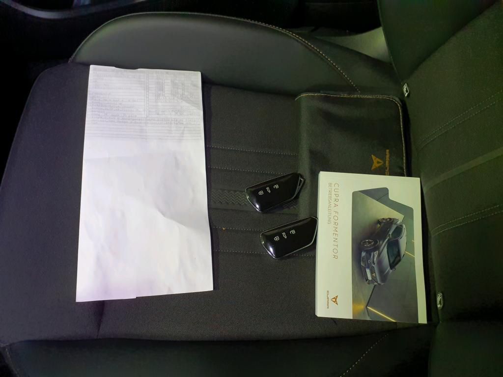 Cupra Formentor 1.5 TSI 110kW Klima*Tempo*PDC
