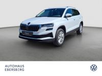 Skoda Karoq - Vorschau Bild 1