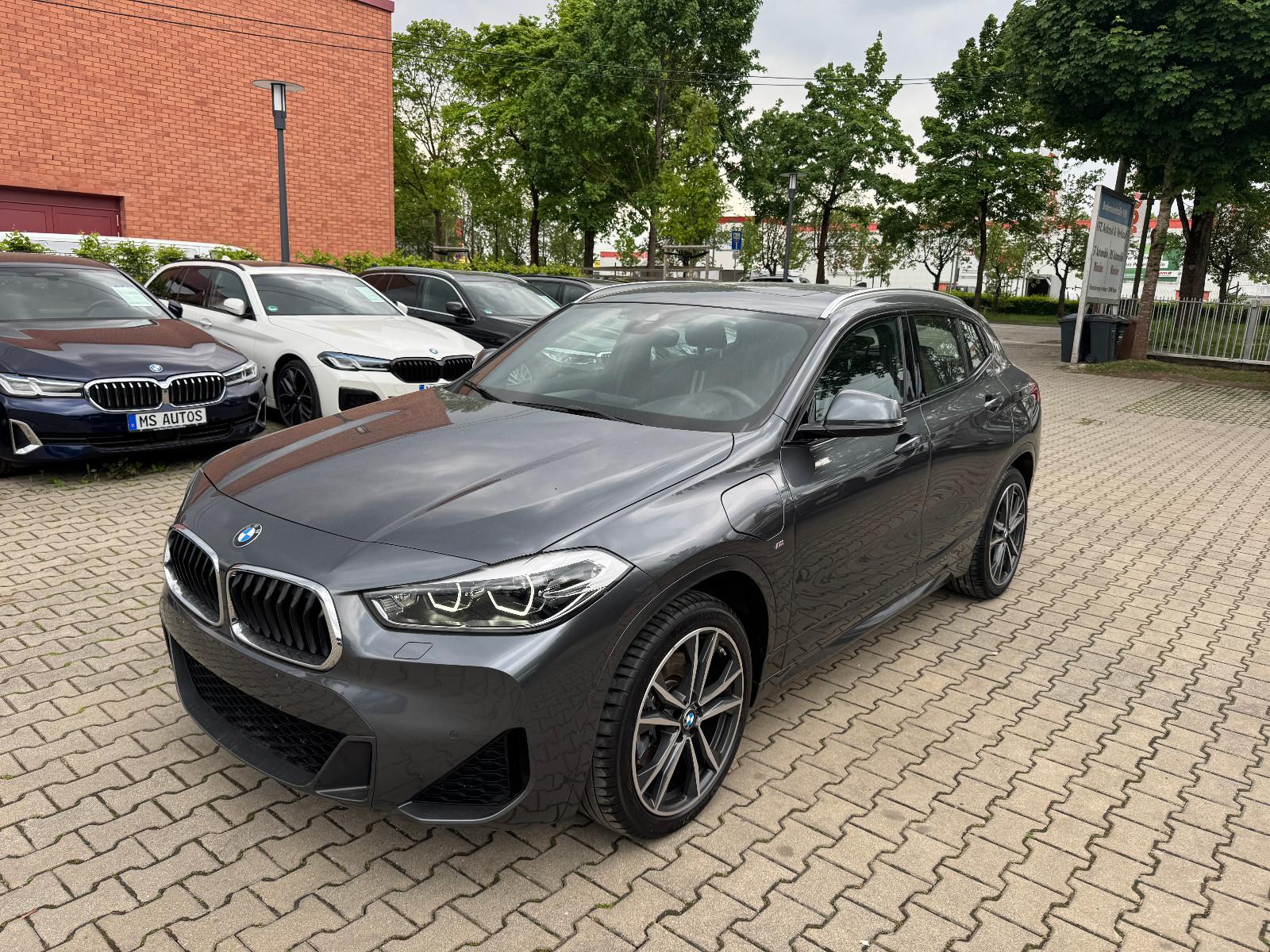 BMW X2 xD 25 e MSport*Panorama*Kamera*ACC*W+S.Räder