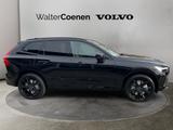 Volvo XC60 T8AWDPlug-in H.Plus Black Edition,Lagom-P. - Volvo XC60 in Mönchengladbach