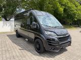 Bravia Swan 636 - Bravia Kastenwagen