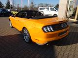 Ford Mustang Convertible 290PS Navi ACC Kamera - Ford Mustang: Cabrio