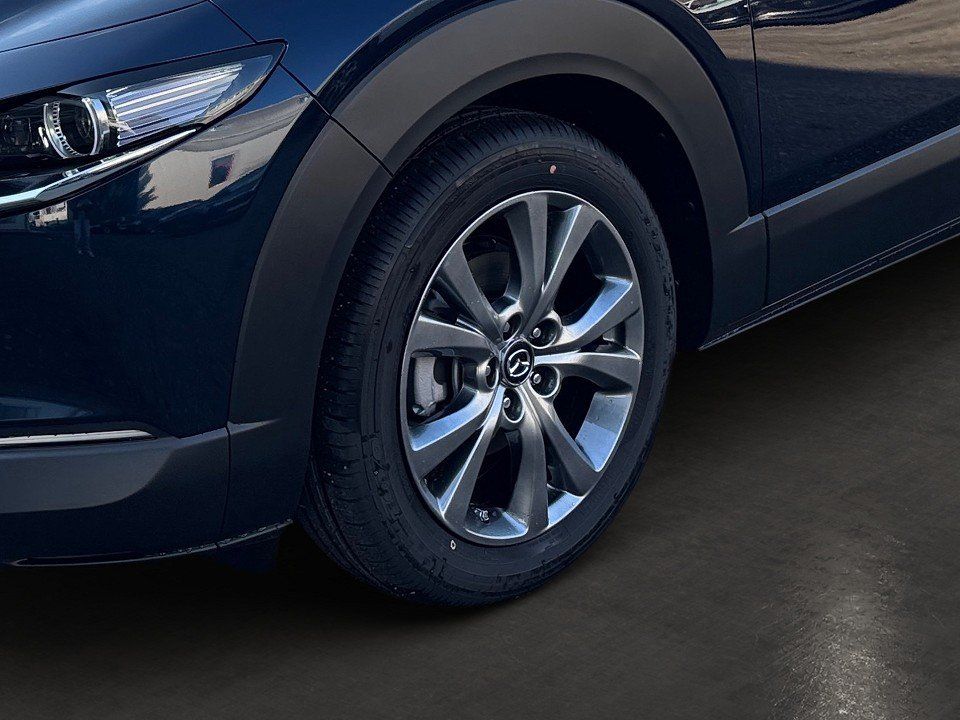 Fahrzeugabbildung Mazda CX-30 X 2.0i 186PS A/T AWD Takumi BLOP