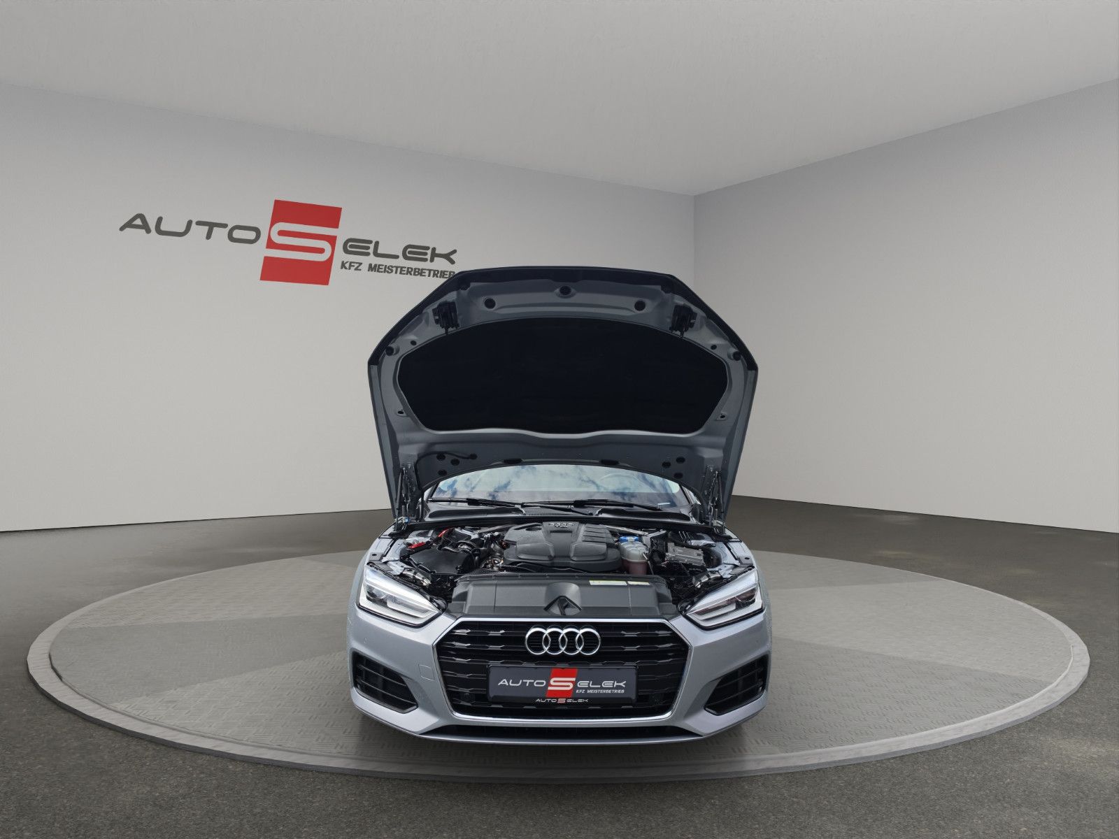 Fahrzeugabbildung Audi A5 Sportback basis NAVI PDC