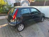 Fiat Punto 188 Perfekt als Anfänger oder W... - Fiat Punto 188 mit Benzin-Antrieb