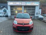 Fiat Panda Lounge - Fiat Panda mit Benzin-Antrieb: Kleinwagen, Automatik