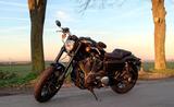 Harley-Davidson Sportster Roadster XL1200CX - HARLEY-DAVIDSON SPORTSTER 1200 ROADSTER