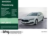Skoda Octavia Combi 1.0 TSI e-TEC DSG First Edition - Skoda Gebrauchtwagen in Tübingen