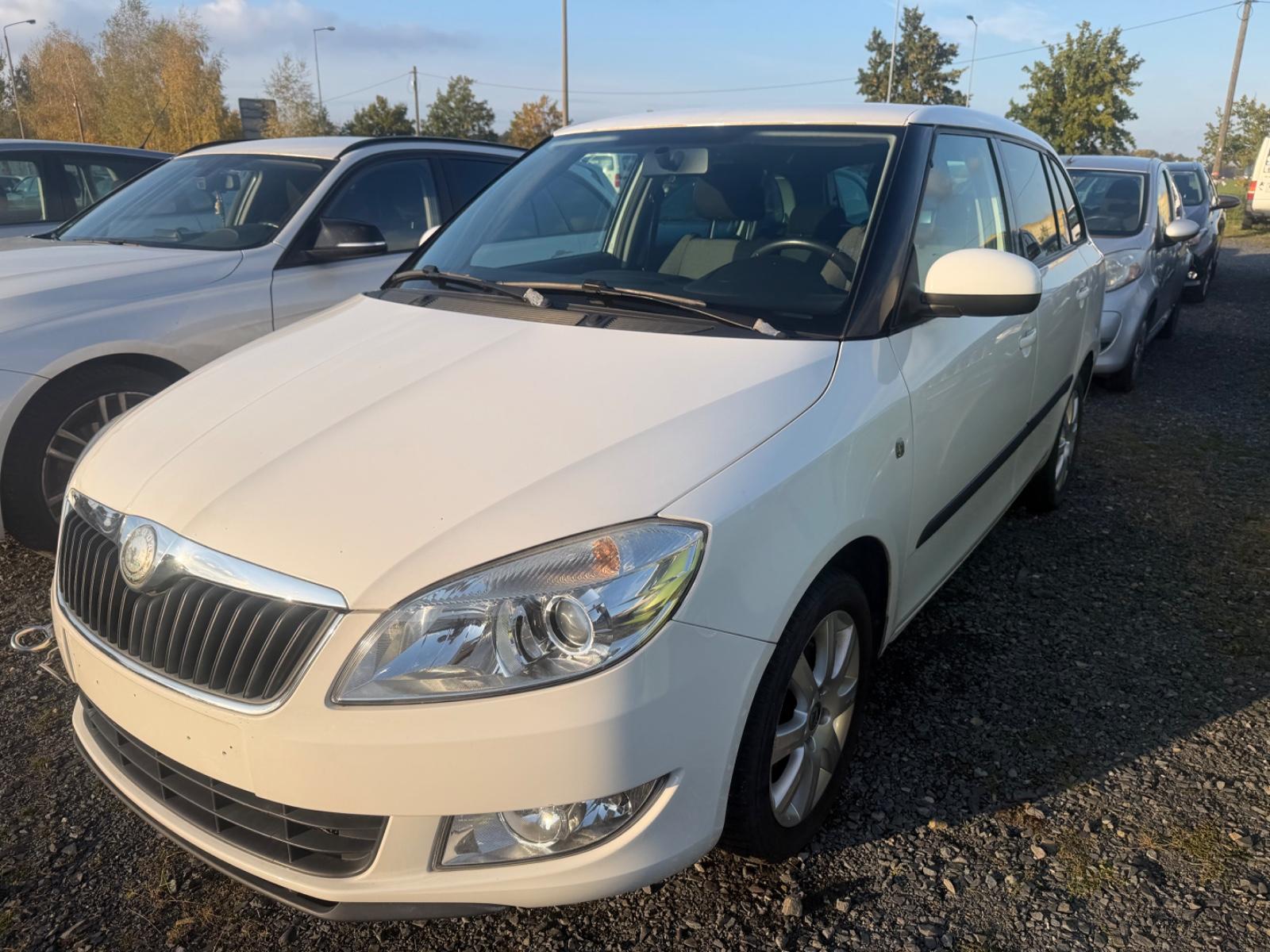 Skoda Fabia 2010 — вигляд ззаду