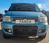 Fiat New Panda 1.2 8V 4x4 Climbing - scheckheftgepflegte Fiat New Panda
