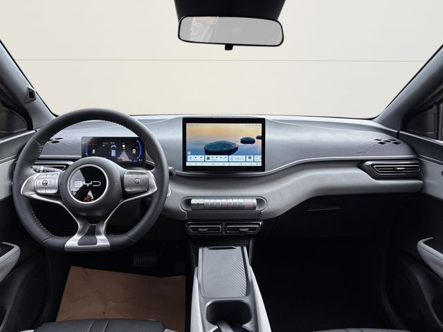 BYD Dolphin Surf Active+Kam+ACC+Leder+PDC+Navi+DAB+K