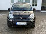Fiat Panda Pop - gebrauchte Fiat Panda aus dem Jahr 2016