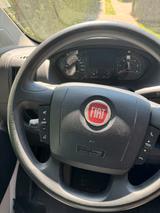 Fiat Ducato DYS TÜV Neu - Offers