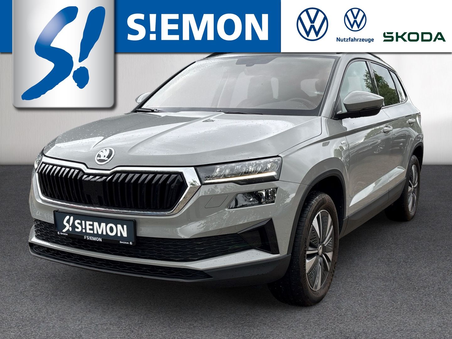 Skoda Karoq TDI 4x4 DSG Tour LED Navi Temp SHZ LHZ PDC