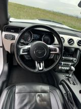 Ford Mustang 5.0 Ti-VCT V8 GT500 Coupé TAUSCH 20 Zoll - Ford Mustang: 50