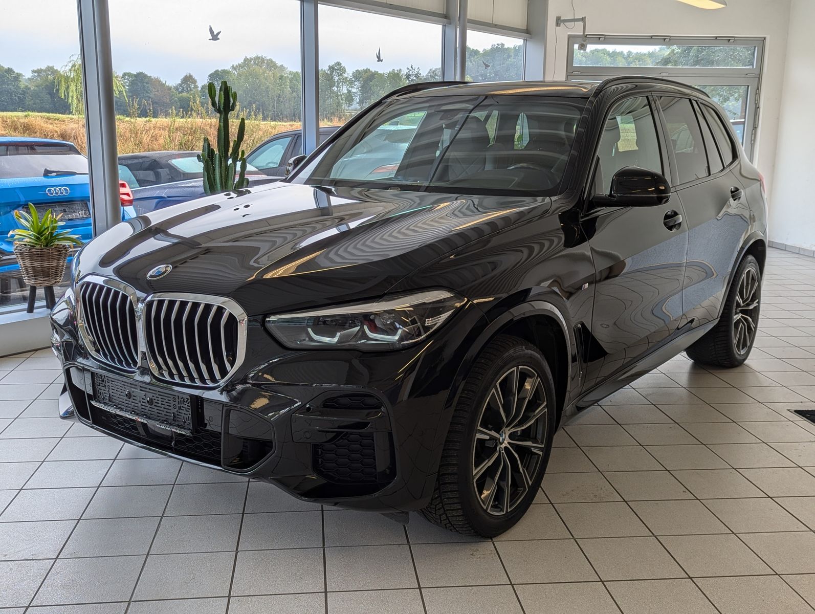 Fahrzeugabbildung BMW X5 xD 30 d M-Sport Pano ACC 360° AHK Dashcam