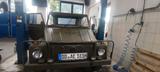 Volkswagen VW181 Kübel - Volkswagen: Kübel