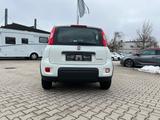 Fiat New Panda 1.0 *Klimaanlage Radio DAB ESP* - scheckheftgepflegte Fiat New Panda