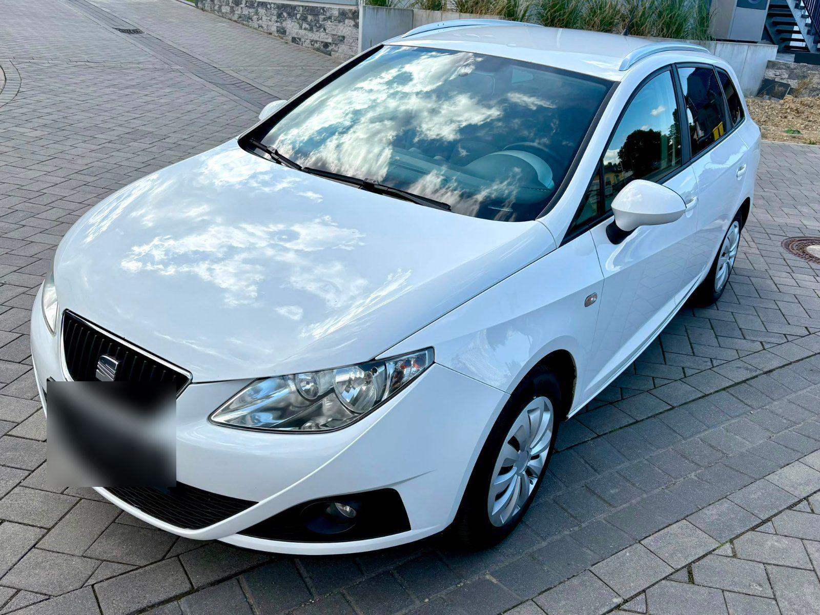Seat Ibiza 2010 — rear view