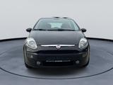 Fiat Punto Evo Dynamic - Fiat Punto Evo Gebrauchtwagen
