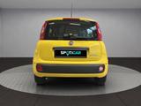 Fiat Pandina 1.0 GSE Hybrid 48 kW ICON - Fiat New Panda in Bonn