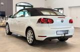 Volkswagen Golf 6 VI Cabriolet 1.6 TDI BMT Highline LED/CAM - Volkswagen Golf mit Diesel-Antrieb: Cabrio, 1.6