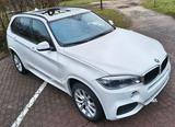 BMW X5 xDrive30d - M Sport-Paket AHK Panoramadach - BMW X5 Gebrauchtwagen in Wiesbaden