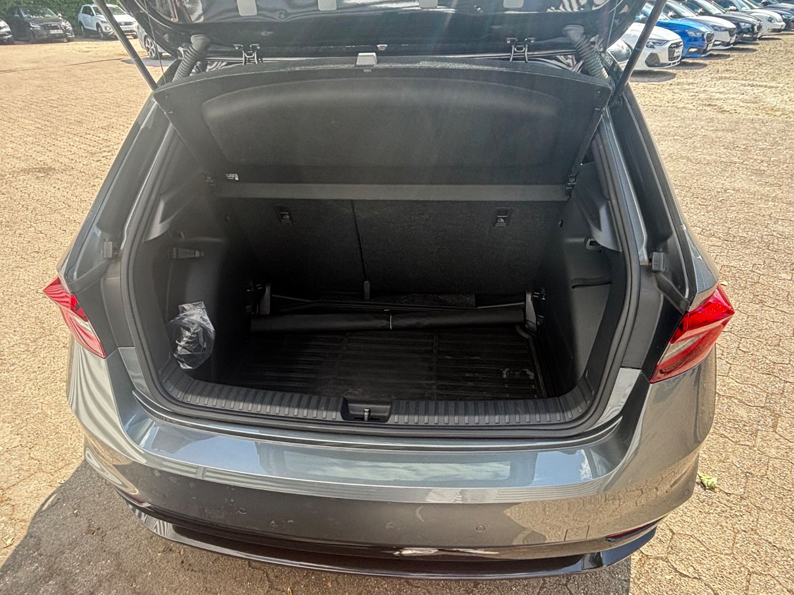 Fahrzeugabbildung SKODA Fabia 1.0 TSI Monte Carlo