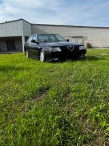 Alfa Romeo 164 3.0 V6 QV  - Alfa Romeo 164