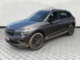Skoda Kamiq 1.0 TSI DSG Selection Kamera / Kessy / 17" - Skoda Kamiq Tageszulassungen