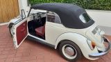 Volkswagen Käfer Cabrio 1500 Oldtimer - Volkswagen Oldtimer: Roadster