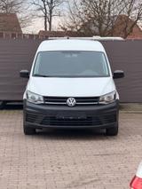 Volkswagen Caddy Nfz Kasten BMT/MwSt Ausweisbar/LKW Zulassu - Volkswagen: Lkw