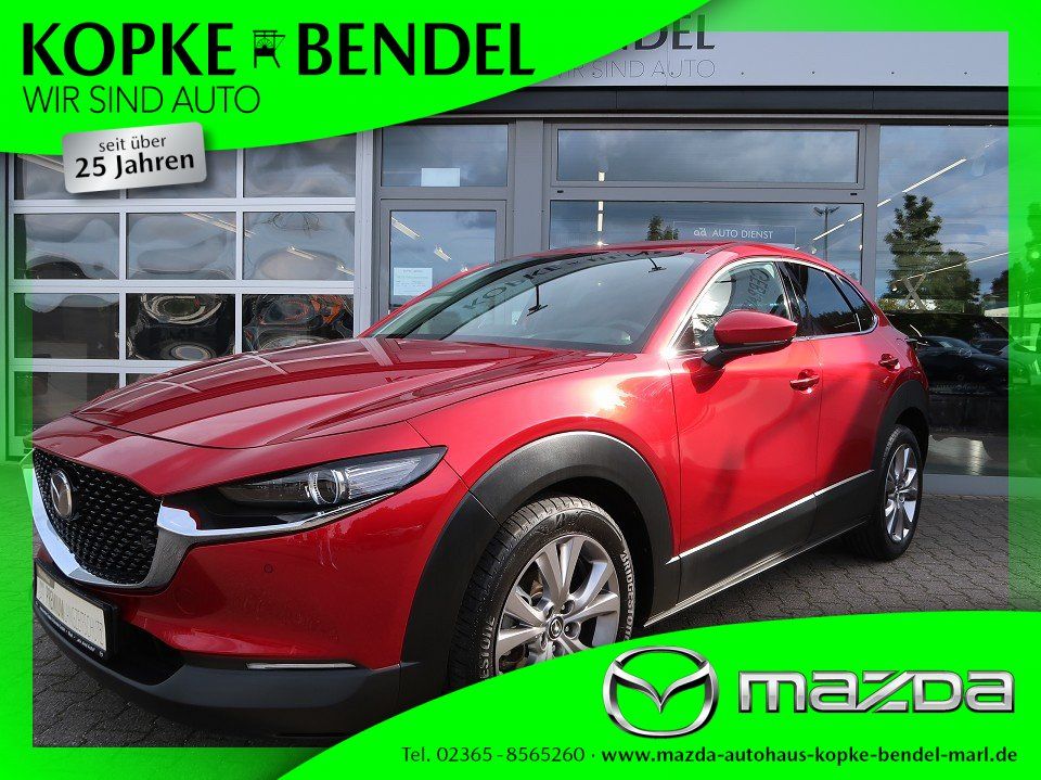 Mazda CX-30 *automatik*Topausstattung*Bestzustand*Wart