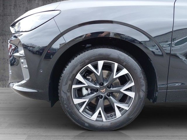 Cupra Terramar - Bild 6