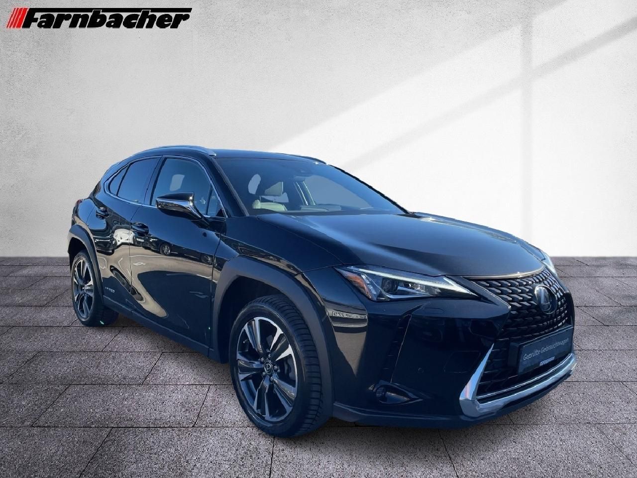 Fahrzeugabbildung Lexus UX 250h Style Edition