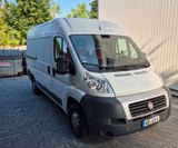 Fiat Ducato Kastenwagen hoch, mit MwSt - Fiat Ducato: Van