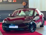 Tesla Model 3 Facelift Performance Dual AWD Steuer - Tesla Model 3 aus 2024