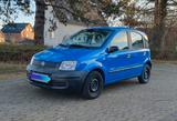 Fiat Panda 1.1 L TÜV 12/2026 Rentnerfahrzeug - gebrauchte Fiat Panda aus dem Jahr 2003