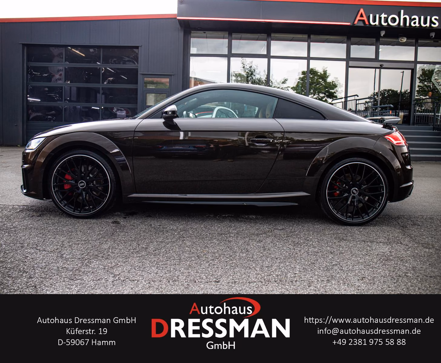 Audi TTS COUPE TFSI COMPETITION MATRIX LEDER PDC SHZ