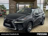 Lexus NX 300h Executive Line E-Four Pano BLIS Navi AHZ - Lexus NX Executive